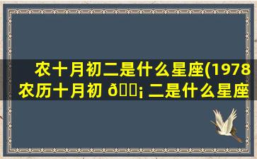农十月初二是什么星座(1978农历十月初 🐡 二是什么星座 🦉 )